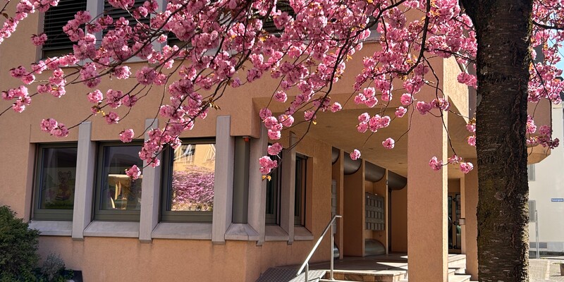 Kinderkrippe Seefeld Eingang